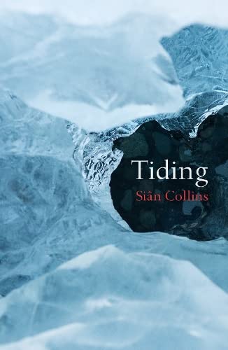 Book cover for “Tiding” by Siân Collins with icy mountain backdrop.