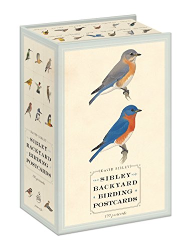 Box of 100 bird postcards featuring detailed illustrations, with a bluebird.
