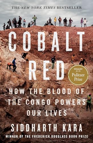 Book cover showing people working in a red dirt mine under a cloudy sky.