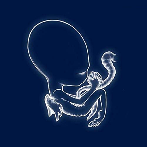 White glowing outline of a fetal creature on a dark blue background.