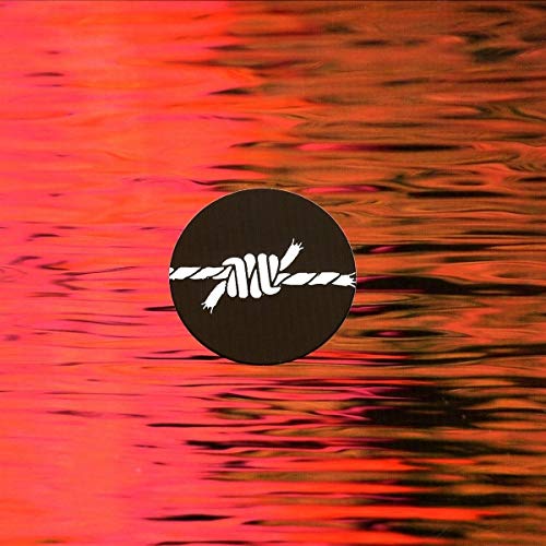 A black vinyl record with a white logo on a red, rippled water background.