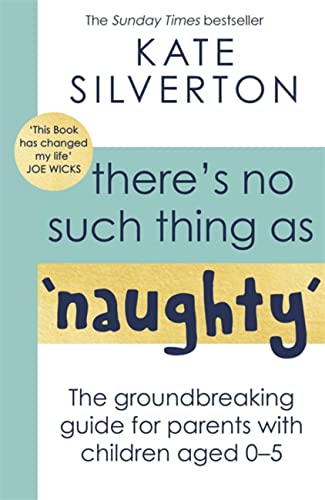 Book cover with blue and yellow text: "There's No Such Thing As 'Naughty'".