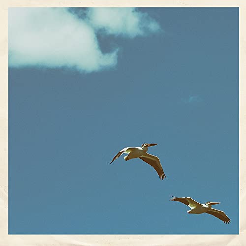 Three pelicans soaring in a bright blue sky with white clouds.
