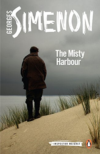 A person stands on a sandy dune overlooking a misty harbor under a cloudy sky.