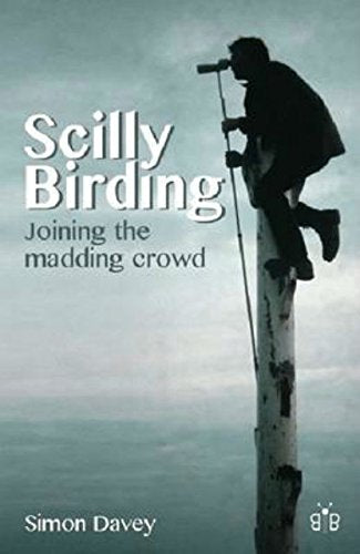 "Book cover with a man perched on a pole, using binoculars, against a cloudy sky."
