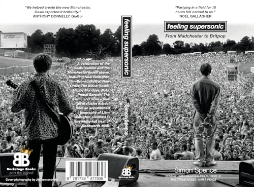Book cover showing a musician on stage facing a massive crowd at a concert.