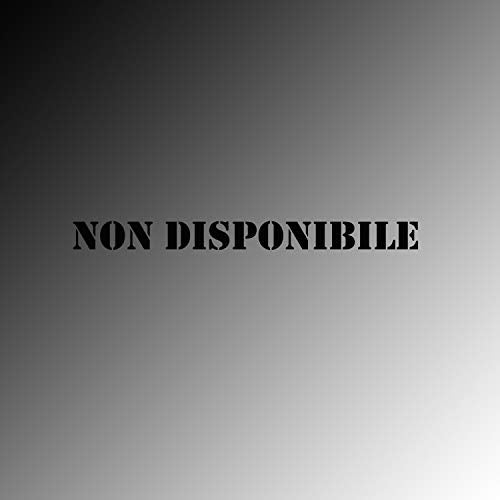 Gray gradient background with black text reading "NON DISPONIBILE".