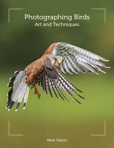 Book cover featuring a kestrel in flight against a blurred green background.