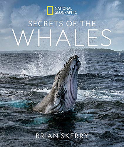 Book cover: breaching humpback whale with “Secrets of the Whales” title.