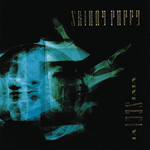 Album cover for Skinny Puppy’s VIVI Sect VI featuring x-ray imagery.