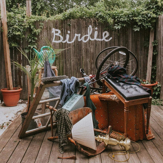 Vinyl record album "Birdie" displayed with vintage objects in a garden.