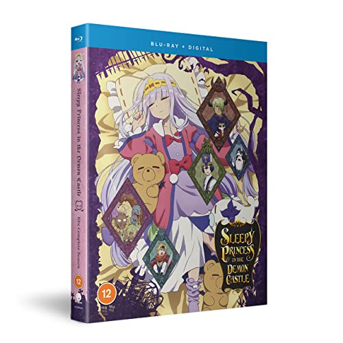 Blu-ray case for “Sleepy Princess in the Demon Castle” anime, featuring artwork.