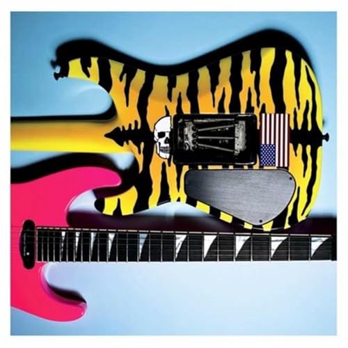 Album cover: electric guitar with tiger stripes, skull, and flags.