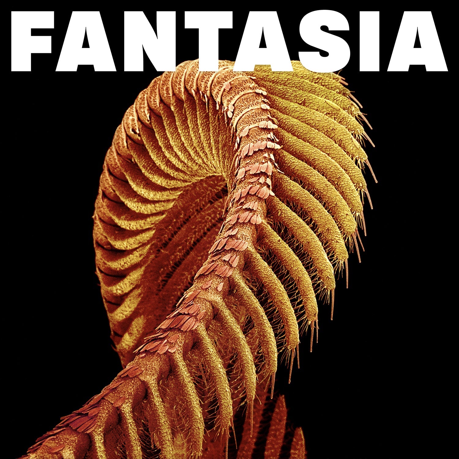 Album cover for SLIFT’s “Fantasia” featuring an orange, swirling, textured design.