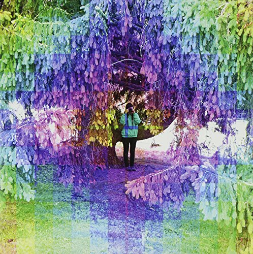 A person stands under a tree with vibrant, rainbow-colored foliage in a grid pattern.
