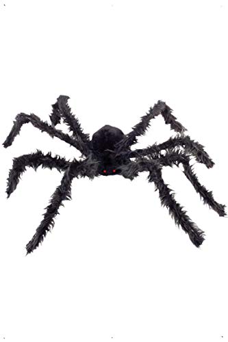 Large, black, hairy spider with glowing red eyes against a white background.