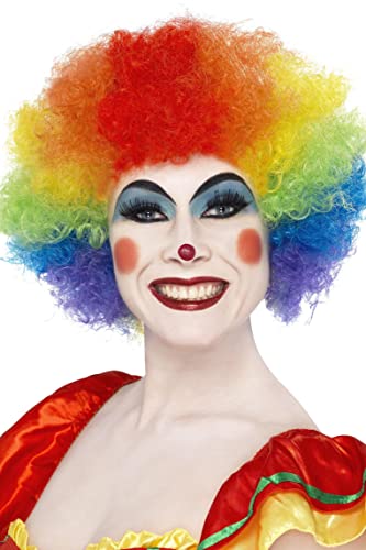 Rainbow afro clown wig on a person with clown makeup.
