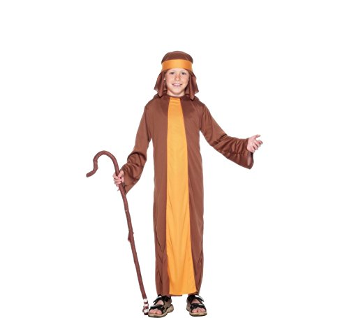 Young boy wearing a brown and orange shepherd costume, holding a shepherd's crook.