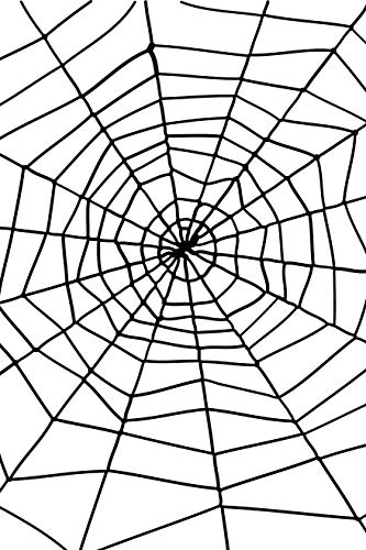 Black spider web with a black spider at the center.