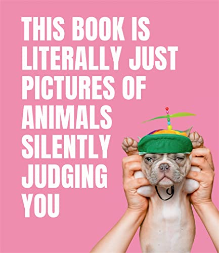 Book cover with pink background and a bulldog wearing a propeller hat.
