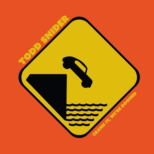 Album cover showing a car driving off a cliff into water on a yellow sign.