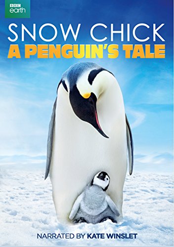 An adult emperor penguin looks down at a small chick on a snowy landscape.