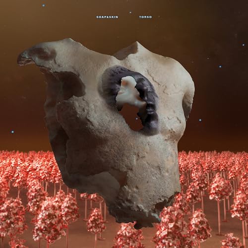 Album cover: abstract, rocky sculpture against a red, textured background.
