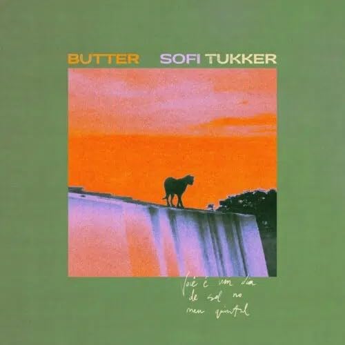 CD cover for Sofi Tukker’s “Butter” featuring a horse silhouetted at sunset.