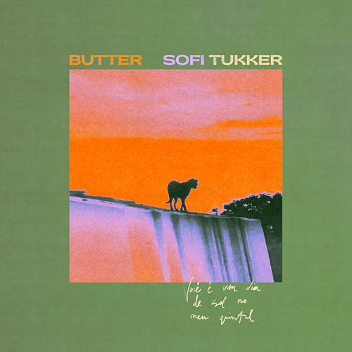 Vinyl cover featuring a silhouette of a dog against a colorful sunset sky.
