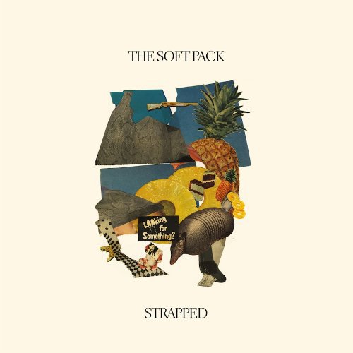 "Vinyl album cover with collage of surreal images on beige background."