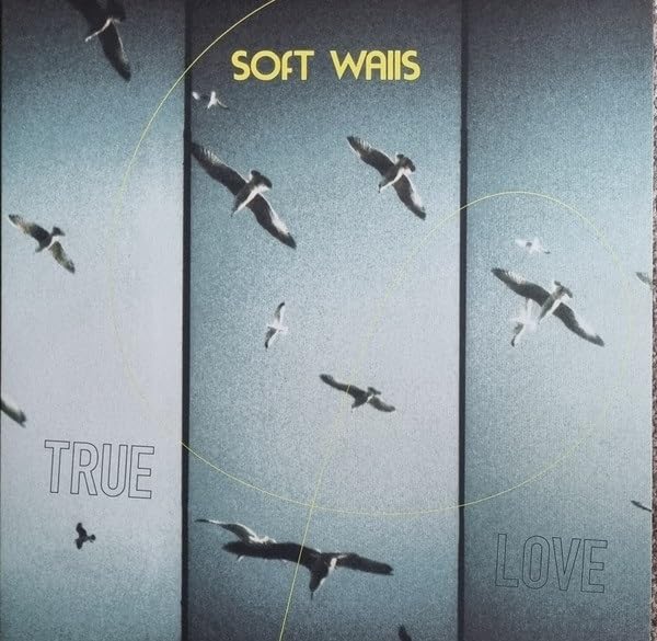 Album cover with birds in flight and text “Soft Walls, True Love”.