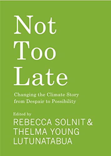 Book cover with green background and white text titled Not Too Late.