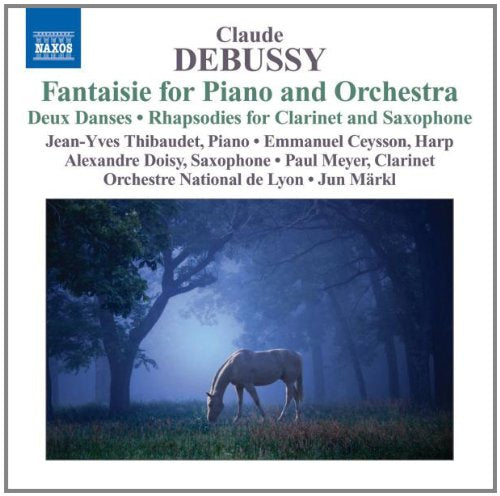 "CD cover featuring a white horse grazing in a misty forest."