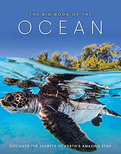 Book cover with a sea turtle swimming underwater, vibrant blue ocean.