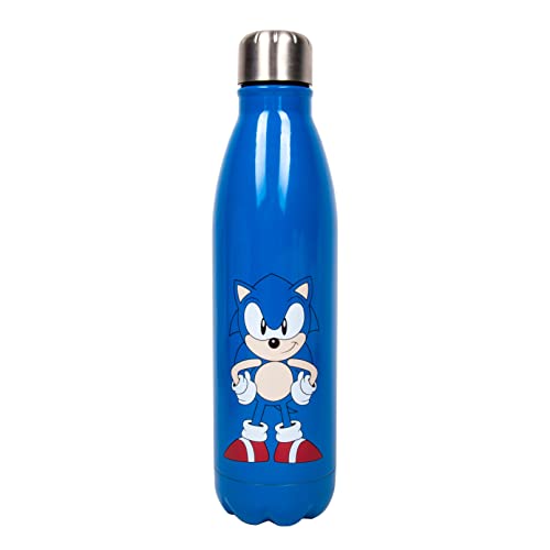 Blue metal water bottle featuring Sonic the Hedgehog character art.