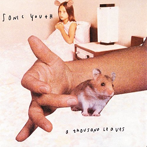 Sonic Youth album cover: hand holding a hamster, girl with bunny ears.