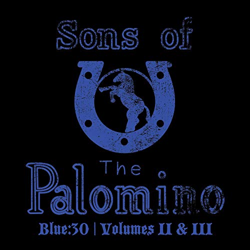 A black square with blue text and a horseshoe graphic containing a horse.