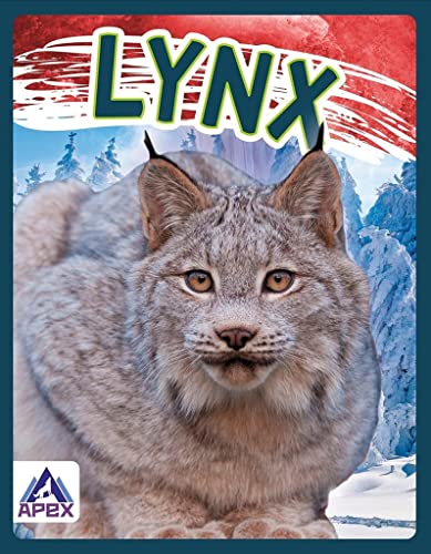 Close-up of a lynx with pointed ears, set against a snowy mountain backdrop.