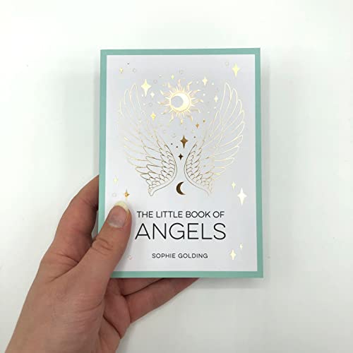 Book cover with gold foil wings, sun, and moon design.