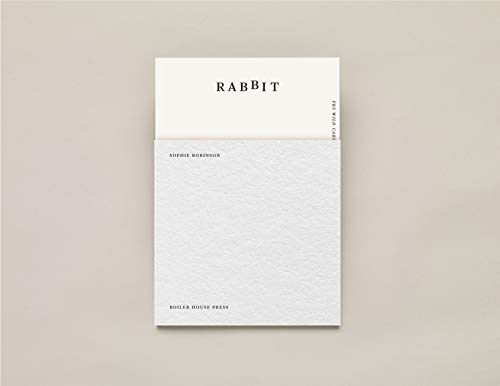 Book cover, titled "RABBIT" in simple text, with a textured background.
