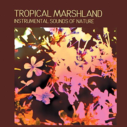 CD cover with pink and orange tropical flowers and foliage.