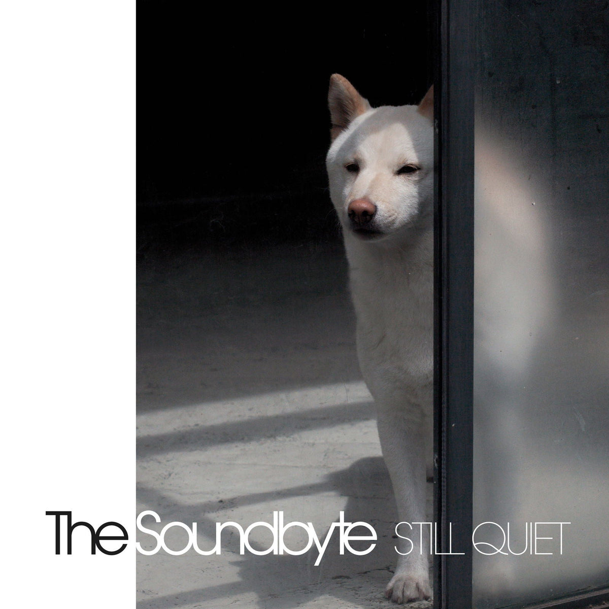 Vinyl record cover featuring a white dog peering through a doorway.