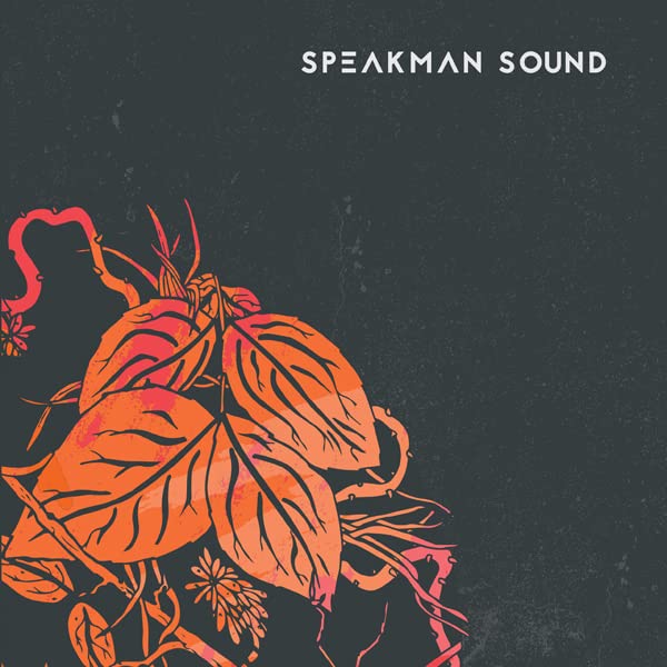 AlbumLSB album cover with orange leaves on a dark grey textured background.