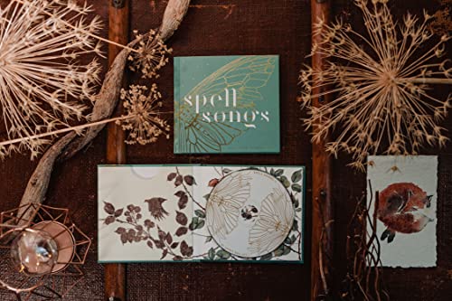 CD case with teal cover and botanical illustrations, surrounded by dried plants.