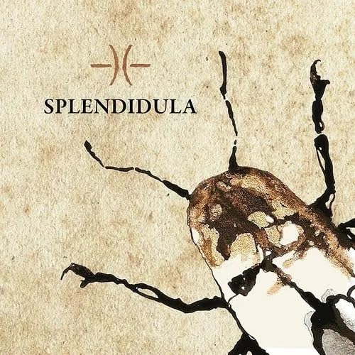 Album cover featuring an ink-style beetle drawing on textured beige paper with band logo.