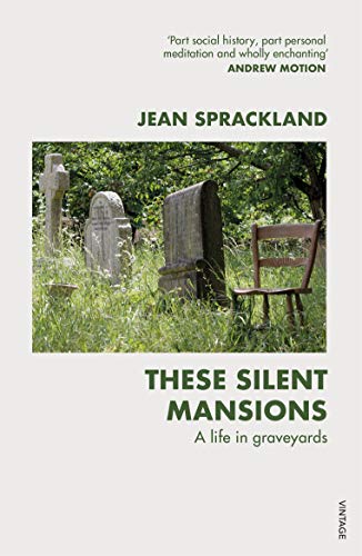 Book cover with a graveyard scene, a chair, and the title "These Silent Mansions".