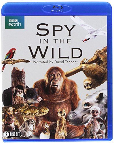 "Blue Blu-ray case with 'Spy in the Wild' cover featuring various animals and a chimpanzee."