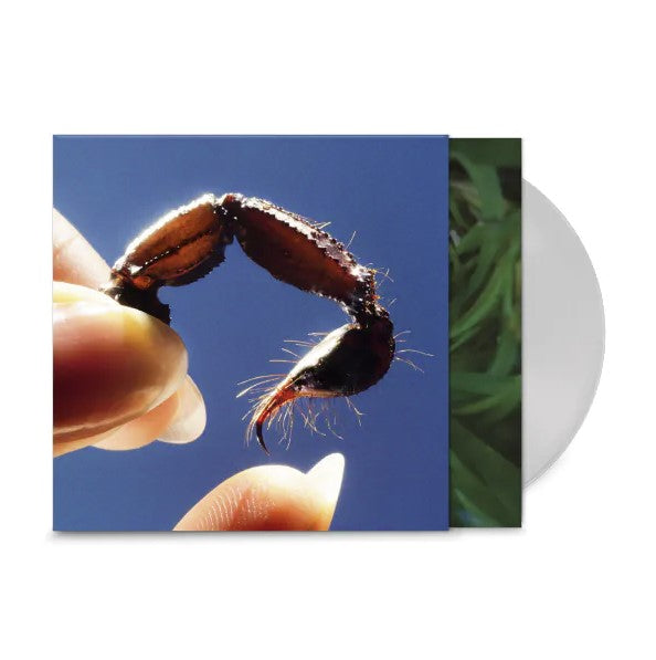 Close-up of a crab claw held between two fingers against a blue sky.