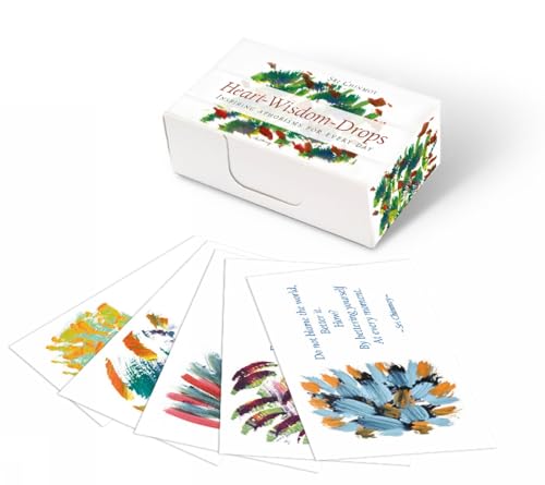 Small white box with colorful bird illustrations and accompanying cards.