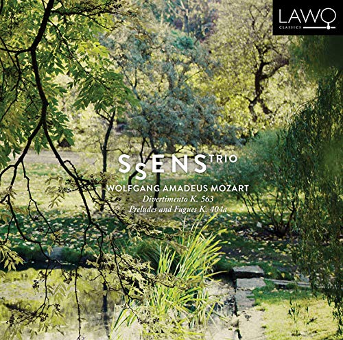 A CD cover featuring a serene forest scene with a pond and white text overlay.